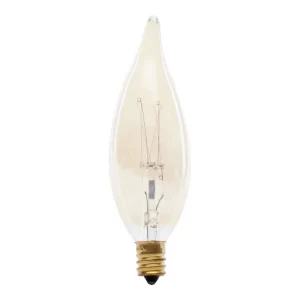 Feit Electric Vintage Light Bulb, 40 Watts - 2 count